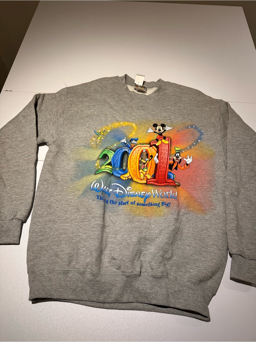 Disney Gray Crewneck Sweatshirt with Multicolor 2001 Disney World Graphic